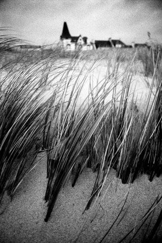 Herbes des dunes à Audierne